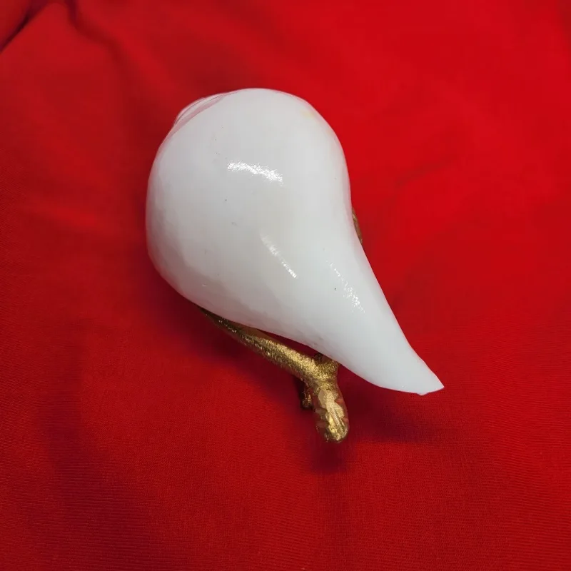 Polished white conch shell resting on a cast brass stand